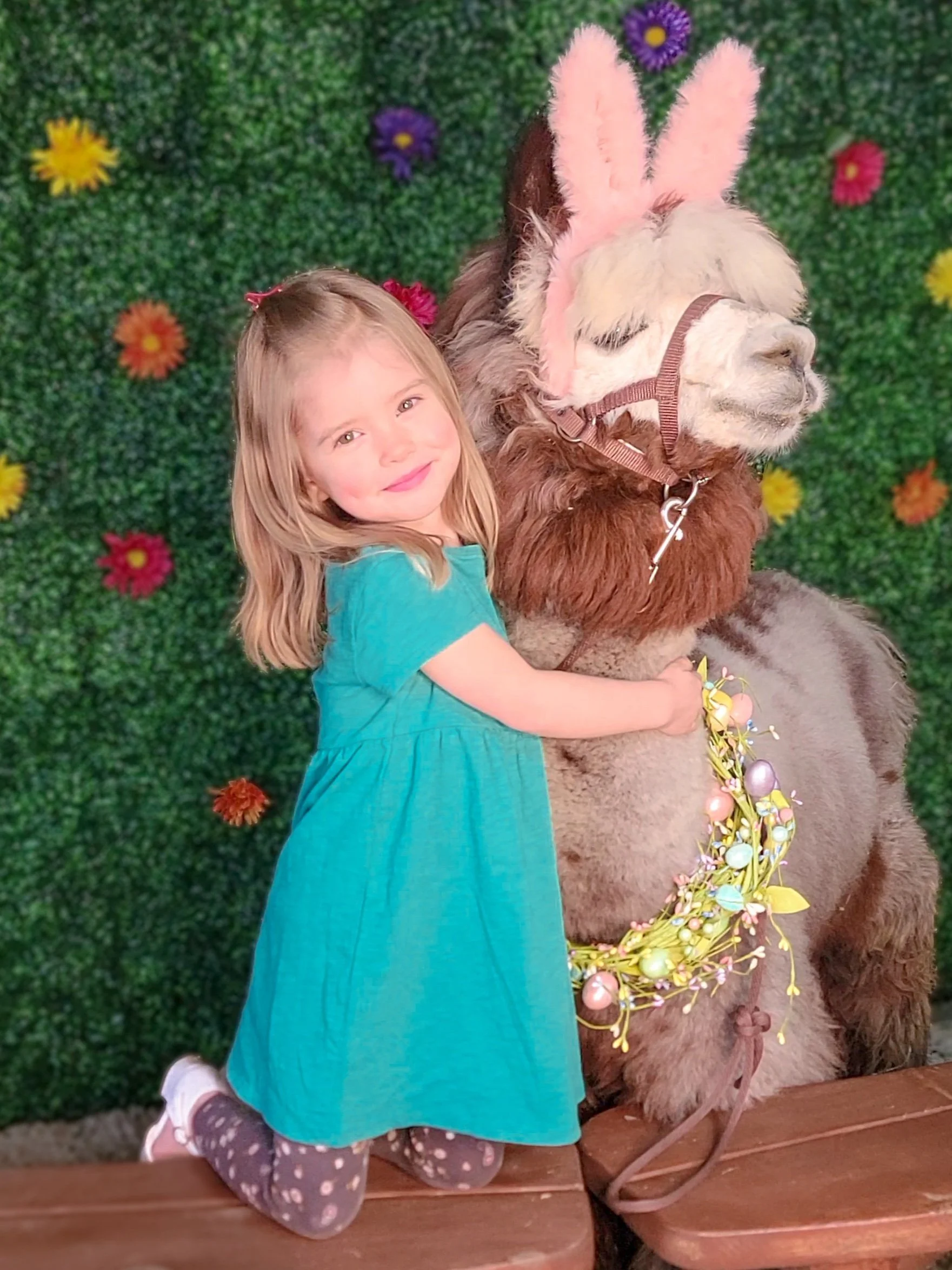 General 5 — Mtn Peaks Therapy Llamas & Alpacas